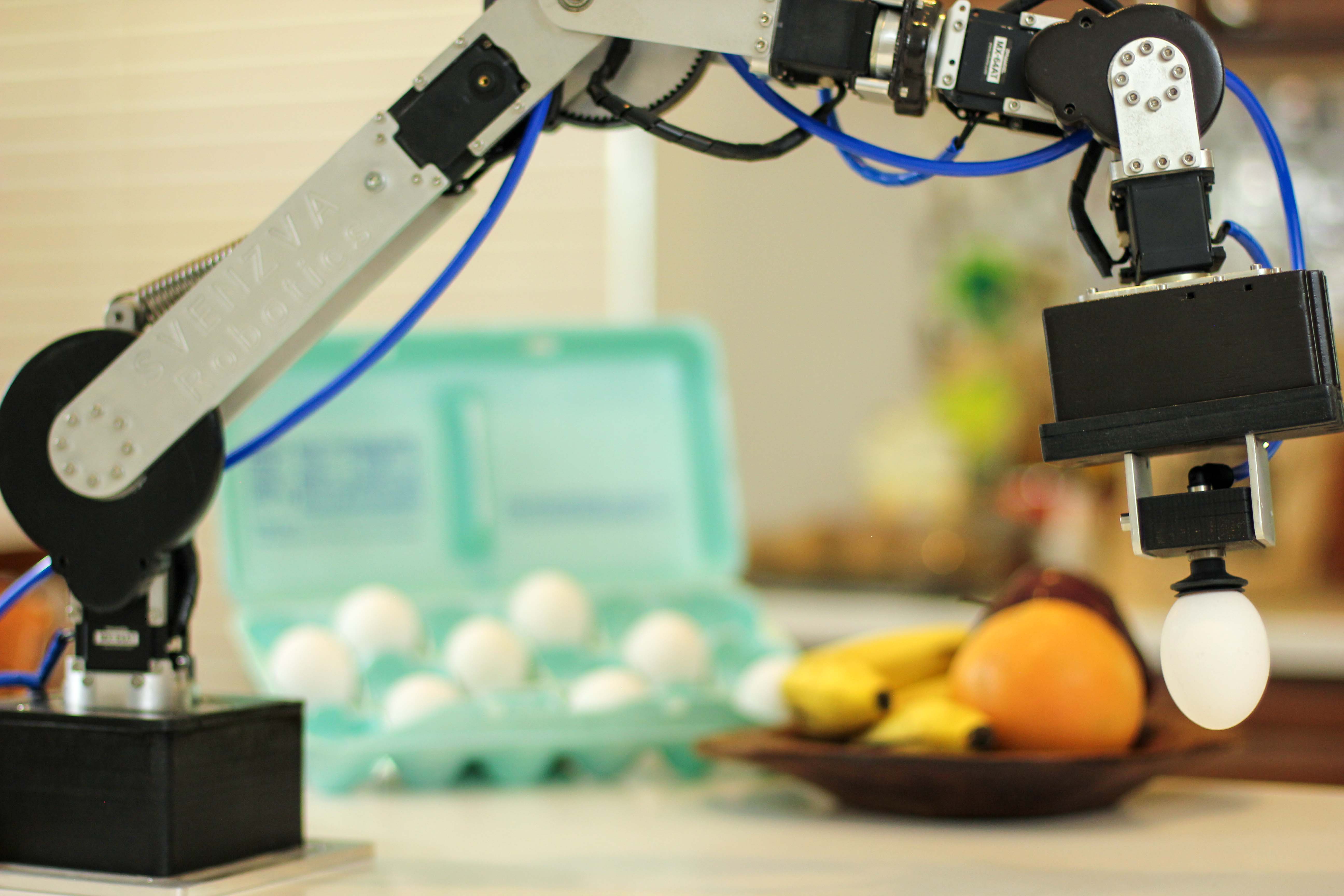 Revel: Picking up Egg